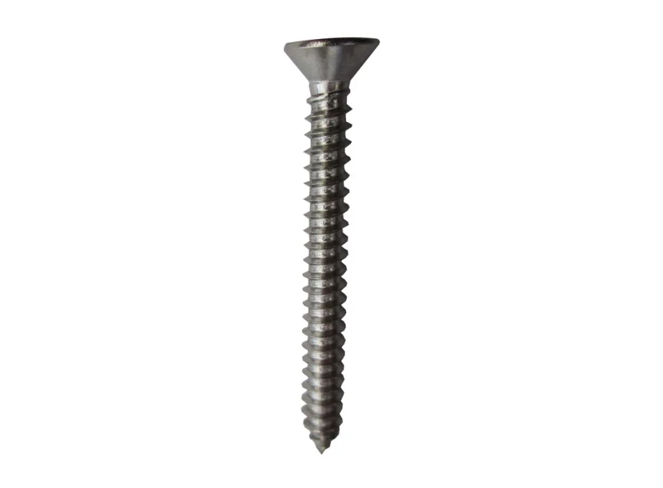 borastore20260520182125330630